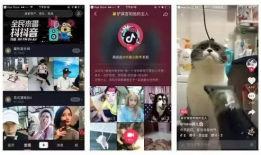 91抖音本色直播下载,揭秘热门直播背后的下载秘密